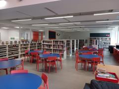 Library1